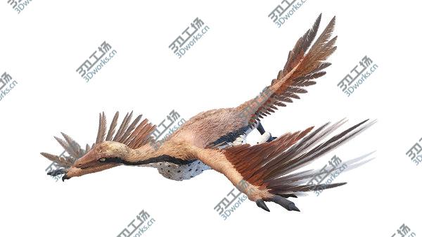 images/goods_img/20210312/Archaeopteryx Animated 3D/4.jpg